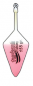 Preview: Turkana Piramide Belga Rosa-Blanco Bicolor